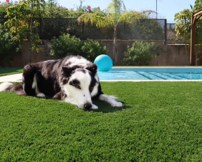 Instalación de Pasto sintético